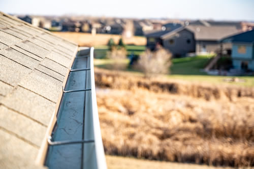 gutter cleaning